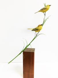 Life-Size Yellow Warblers <br />by Lonnie Dye